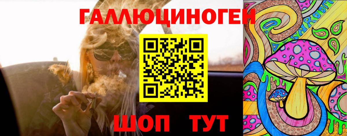 Псилоцибиновые грибы GOLDEN TEACHER  Вход с VPN  Карачаевск 